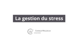 Module 3 : La gestion du stress